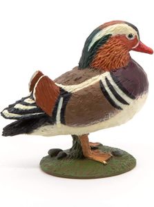 Canard Mandarin Cdiscount