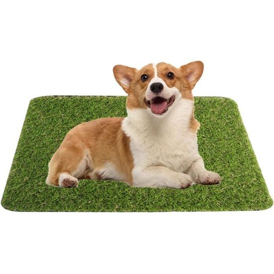 Gazon Artificiel Pour Chien 80x100 Cm - Intérieur/extérieur, Zone D'apprentissage Propreté, Antidérapant
