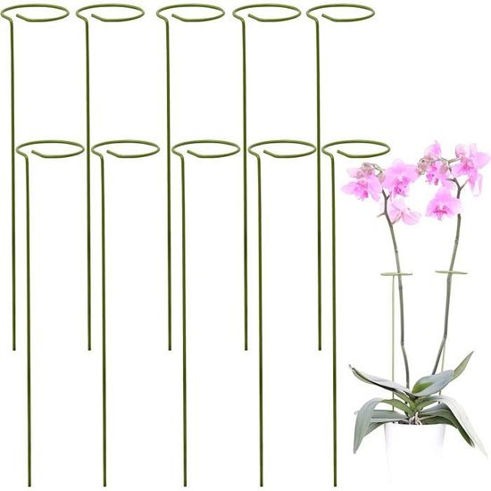 Kit 10 Tuteur Plante Supports Pour Plantes Grimpantes Et Fleurs kit-10-tuteur-plante-supports-pour-plantes-grimpantes-et-fleurs