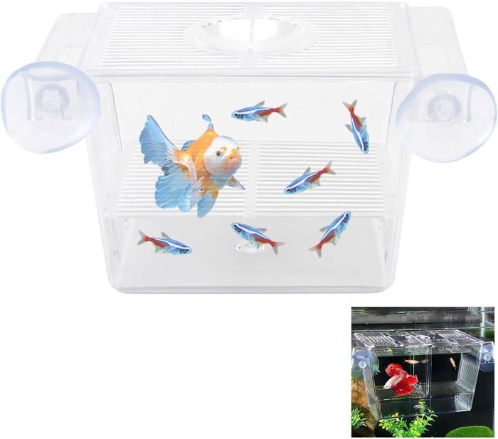 Comparer les prix de Aquarium Bebe Pondoir Aquarium Mini Aquarium avec Ventouses, Incubateur d'aquarium pour Acclimatation, élevage de Poissons