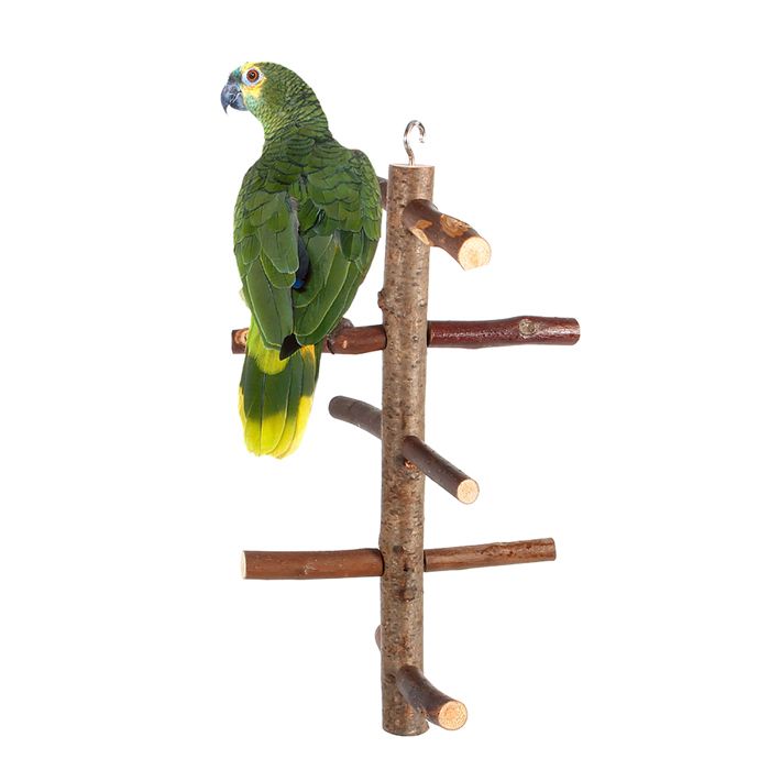 Comparer les prix de Cocosity Perchoir Oiseaux Perroquet Jouet Cage Arbre Activité Branches Bois