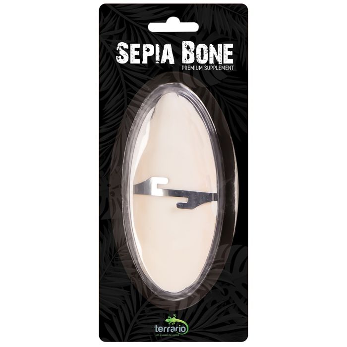 Citron vert naturel Sepia POUR tortues reptiles oiseaux rongeurs et os