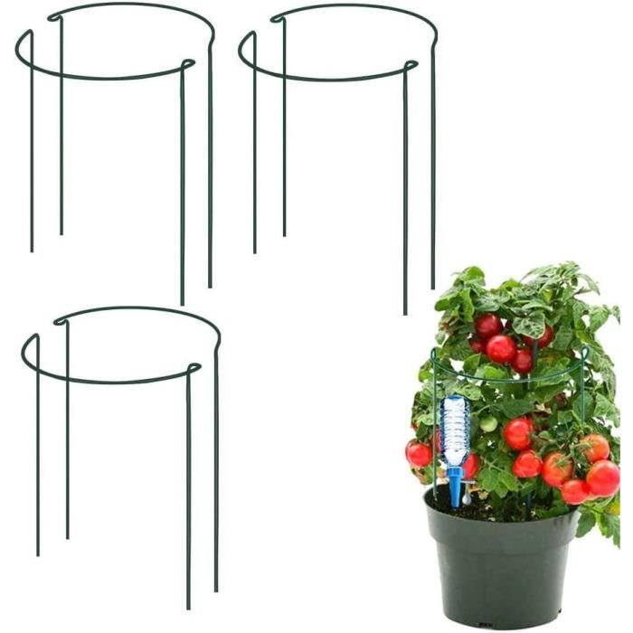 Pack De 10 Supports De Tige Efficaces Pour Une Croissance