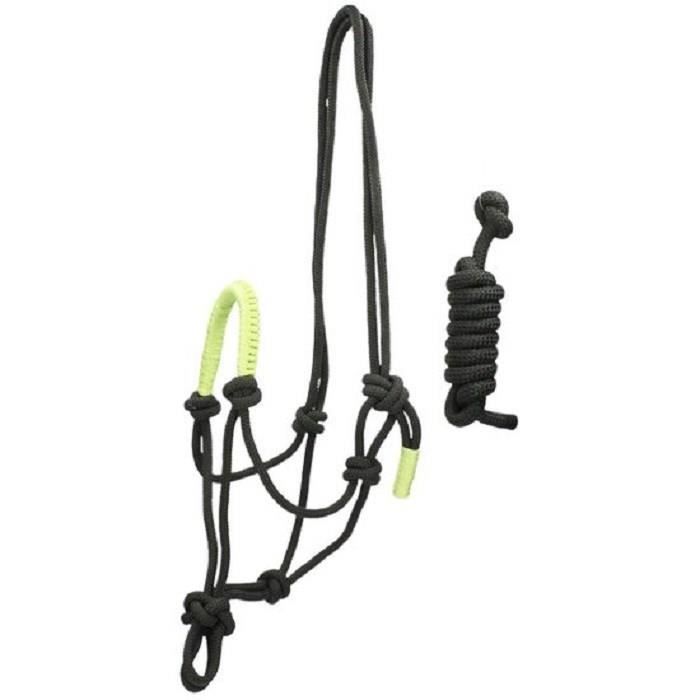 Licol pour cheval Norton Fun colour