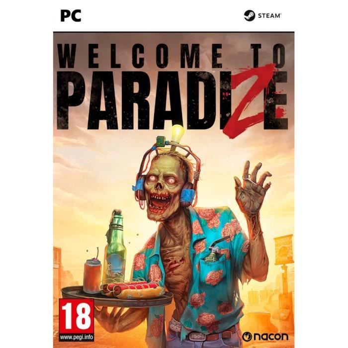 Welcome to ParadiZe PC - vue 4