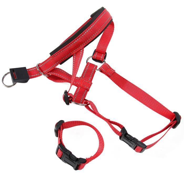 Meilleurs prix pour Muselière pour chien à licol réglable Collier de tête pour chien, animalerie deplacement L 45x54cm / 17,7x21,3 pouces