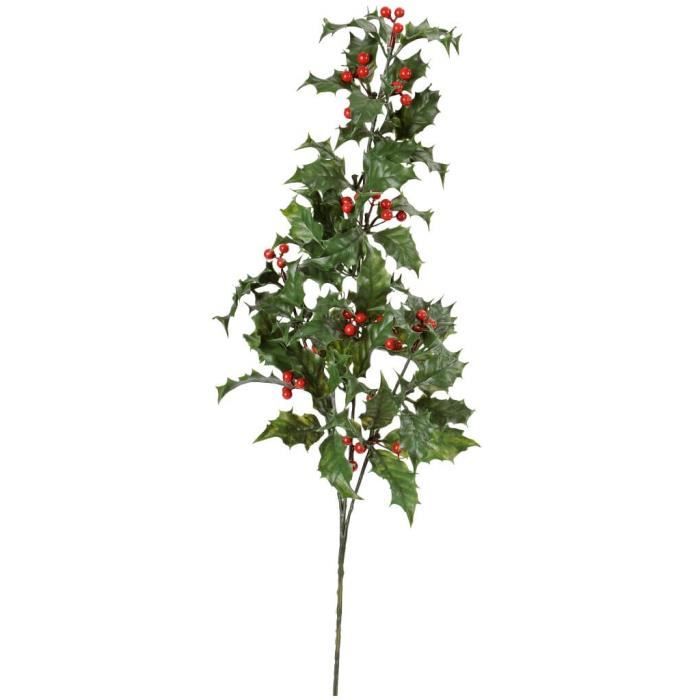 Acheter Branche De Houx Branche De Houx 60cm X1 Ref 3513 Achat Vente Fleur