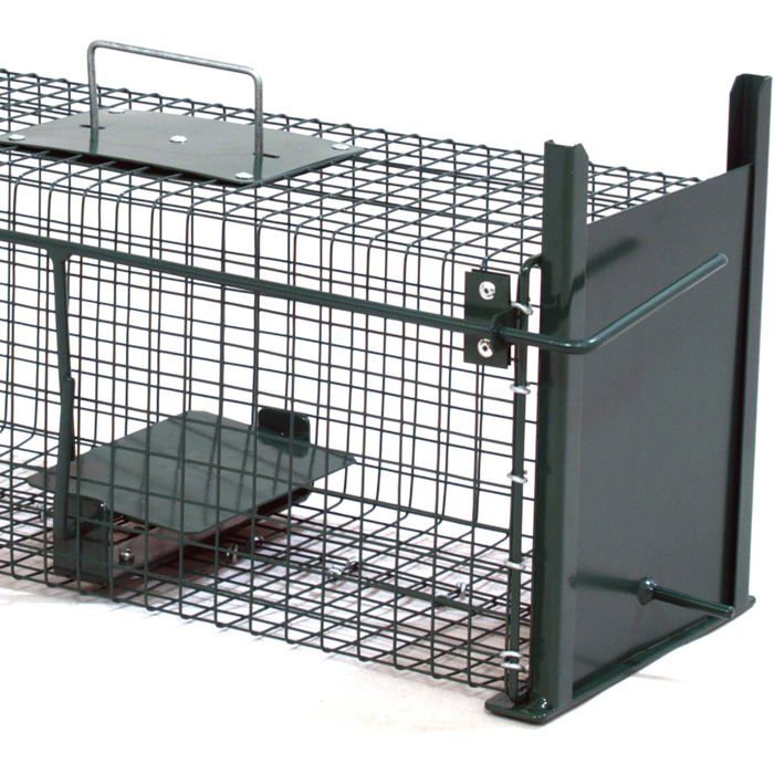Piège à Rats/souris XXL Réutilisable - Cage Capture Humaine Sans Tuer - 2 Pièces