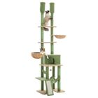 PAWZ Road Arbre à Chat au Plafond Cactus Luxeux, Hauteur ajustable, Poteau griffoir sisal, Large Hamac Suspendu, 216-285cm