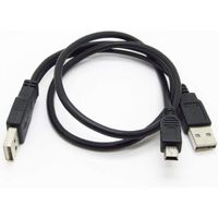 INECK® Câble en Y USB pour disque dur externe Double USB Type A  - Mini USB 5 pins Type B 1m