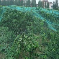 4*10M Filet anti-oiseaux Mesh Filet de protection des plantes  PR Fermes Vineyard Agricultural Planting