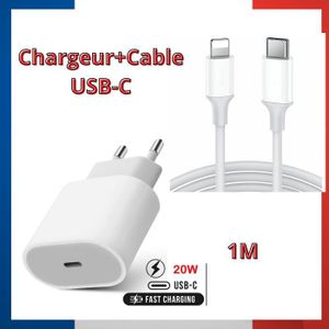 CÂBLE TÉLÉPHONE Chargeur USB-C + Câble Type-C vers Lightning 1 Mèt