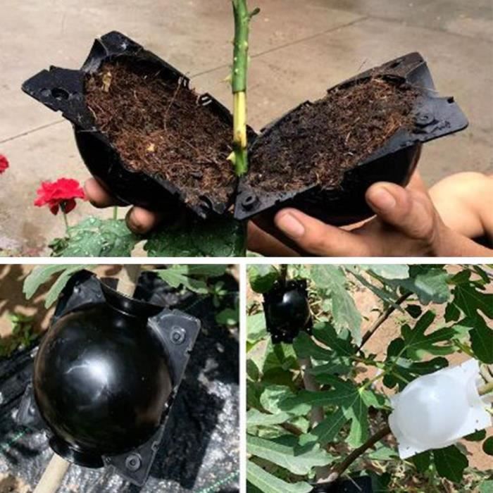Boule de culture pour plante, 5 pièces, pour racines, pour jardin, 8cm de diamètre, 5 pièces