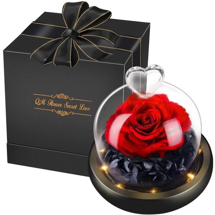 Naturelle Rose Eternelle sous Cloche, “La Belle et la Bête” avec 8 Couleurs LED, Cadeau pour Femmes et Filles, pour Fête des Mères