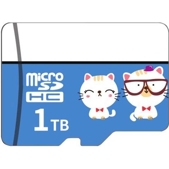 1To Carte mémoire Micro SD Carte TF Class10, pour téléphones - tablettes - carte mémoire enregistreur de conduite