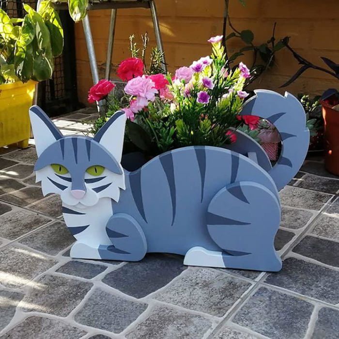 PLATEAU DE GERMINATION de graines Boîte d'herbe de chat hydroponique Herbe de EUR 11,02 PLATEAU DE GERMINATION de graines Boîte d'herbe de chat hydroponique Herbe de EUR 11,02