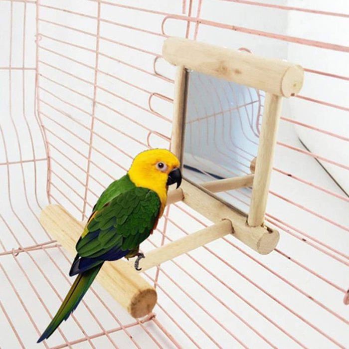 Perchoir en Bois avec Miroir pour Perroquets Perruches Aras et Cacatoès Jouet dActivité .