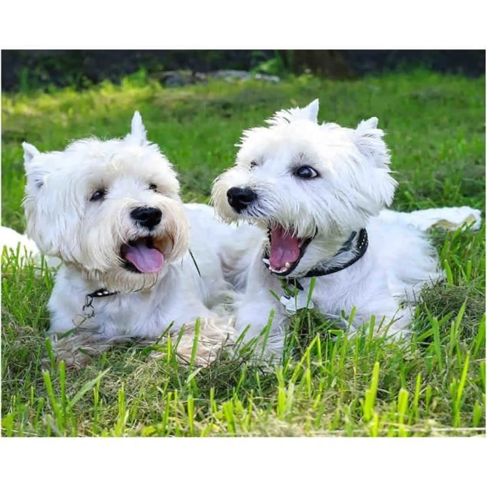 Hoobee DIY Dauphin Diamond Painting Pendentif, Animal Pendant