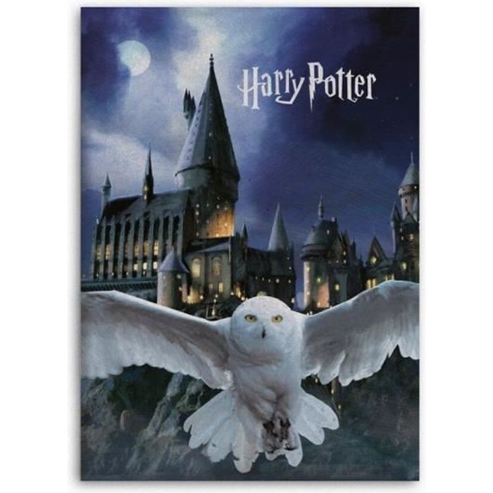 Cadeau 150 x 100 CM Couverture Poudlard Harry Potter Couverture Design Chibi Textile Doux et Chaud Couverture de Canapé-Lit Noir 