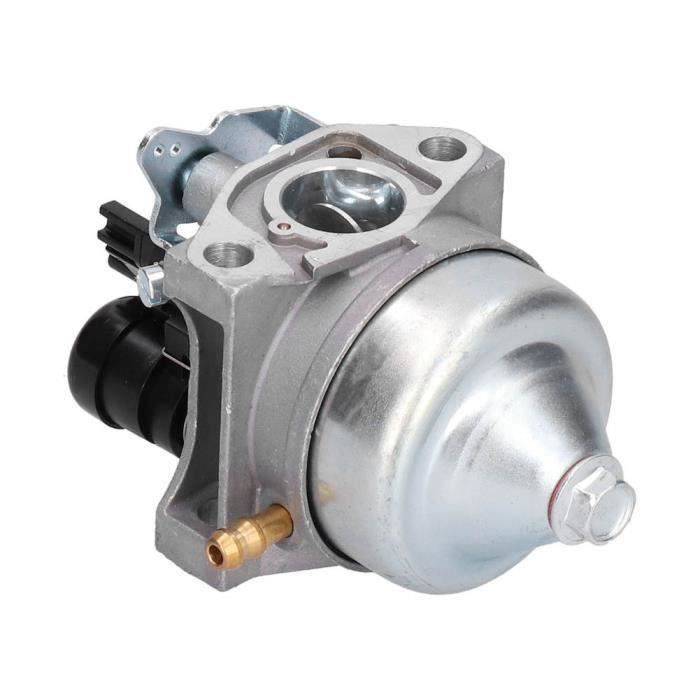 Sallygardens Carburateur + Bougie + Joints Compatible Einhell GC-PM 46/1 S, GC-PM 51/2 S HW, HBM 46 R