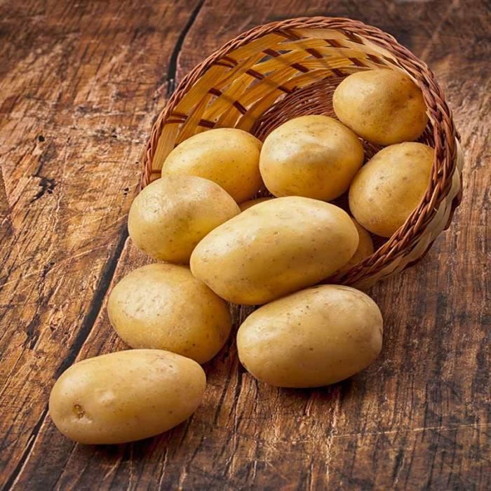 Graine Pomme De Terre Achat Vente Pas Cher