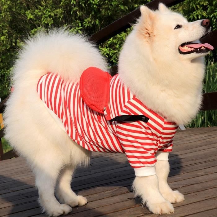 Tee shirt pour 2025 chien
