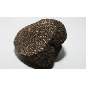 Brisure de truffe Noire Melanosporum – 130gr