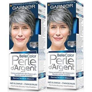 Garnier Coloration Permanente Gris Argent 115 Ml Lot De 2
