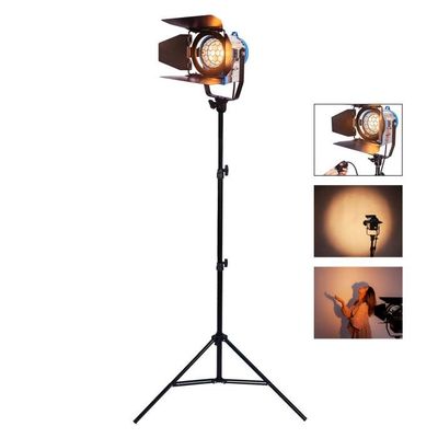 Lot De 5 Ampoules Halogène Fresnel 300W 3200K GY9.5 - Pour Projecteur Studio Photo/vidéo