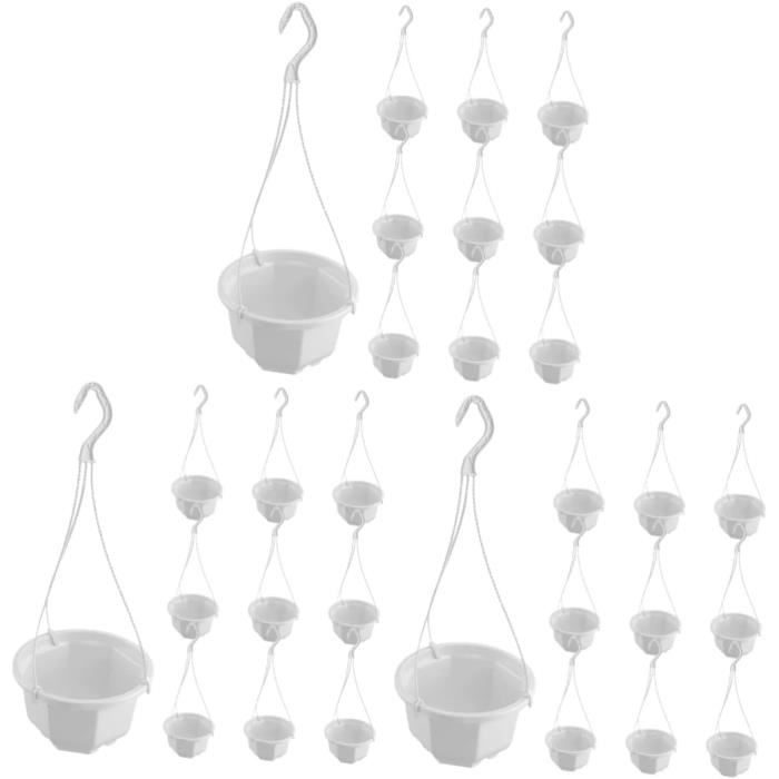 Chlorophytum Variegatum - Plante Araignée | Meilleures Plantes D'intérieur | 20-30 Cm Avec Pot - France