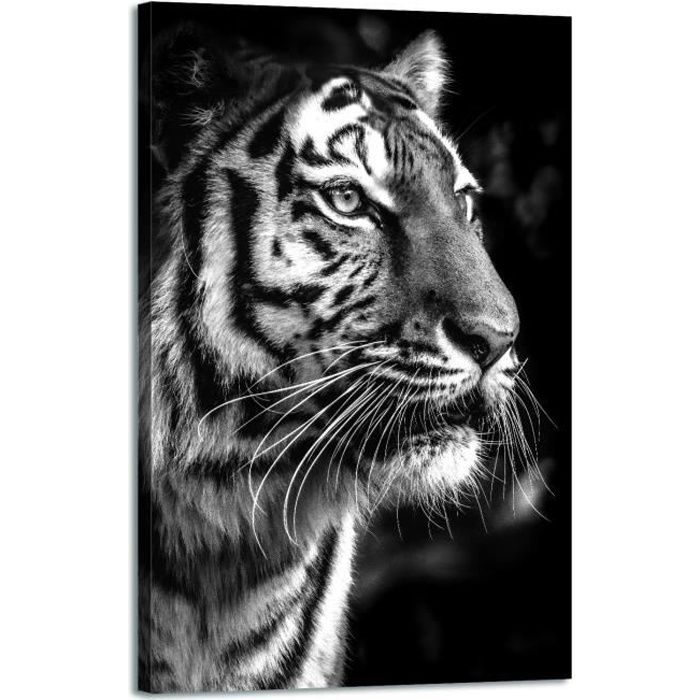 Tableau tigre décoration murale - Noir et blanc - 120x80cm - Impression  haute résolution sur toile tendue sur un cadre en bois - Cdiscount Maison