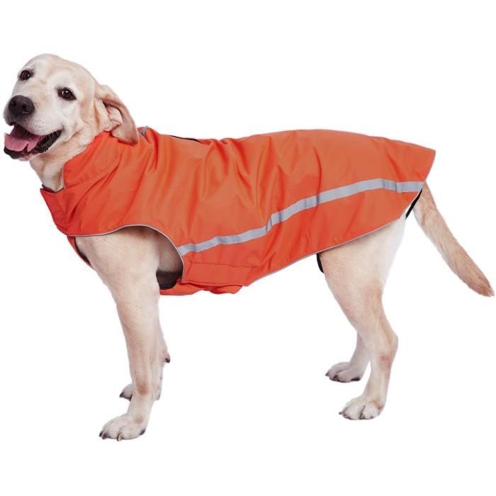 Manteau pour chien 2025 hiver
