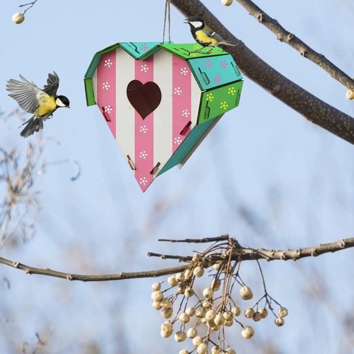 Kit Nichoir à Oiseaux DIY – 2 Nichoirs En Bois + 12 Peintures + Pinceaux – Dès 4 Ans