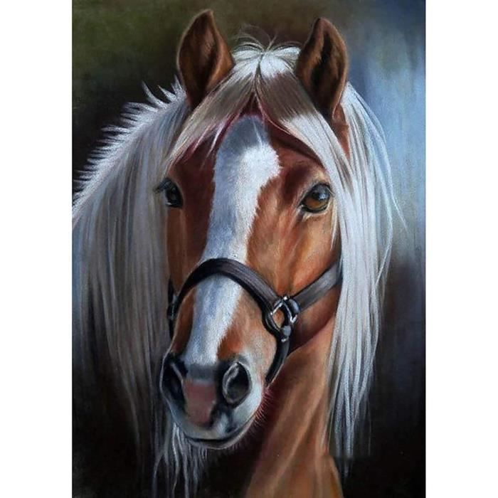 Cheval Peinture Numero Adulte animal Peinture par Numéro Enfant Adultes Débutants 40 x 50 cm , avec Paint Acrylique Numéro d'Art Kit Paint par Décoration Murale et Cadeaux Pour La Maison PjY8329 Cheval Peinture Numero Adulte animal Peinture par Numéro Enfant Adultes Débutants 40 x 50 cm , avec Paint Acrylique Numéro d'Art Kit Paint par Décoration Murale et Cadeaux Pour La Maison PjY8329