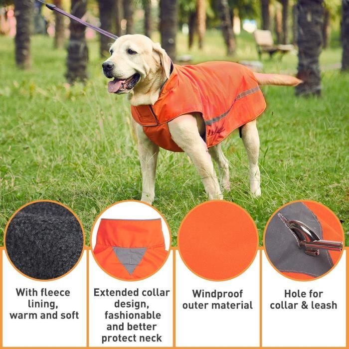 Manteau pour store chien grande taille