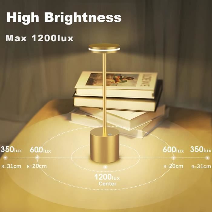 Hapfish lampe de table sans fil rechargeable usb, 5000mAh lere bureau LED  tactile puissante pile, 3 températures de couleur, pou466 - Cdiscount Maison