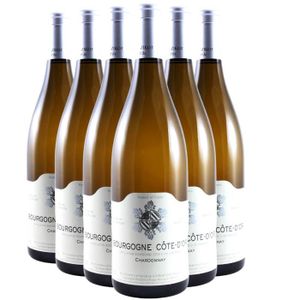 VIN BLANC Bourgogne Côte-d'Or Blanc 2020 - Lot de 6x75cl - D