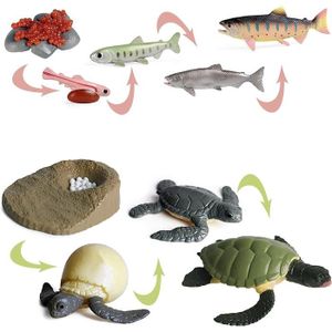 JARDINAGE - BROUETTE JARDINAGE - BROUETTE 8PCS Figurines du cycle de vie des animaux de la tortue et du saumon,ensemble de jouets de créatures marines