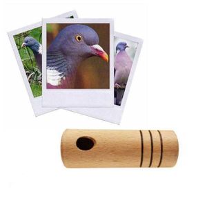 Appeau palombe - Achat / Vente pas cher