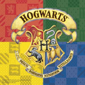 Nappe en papier carte du maraudeur 120x180 cm Harry Potter™ : Deguise-toi,  achat de Decoration / Animation