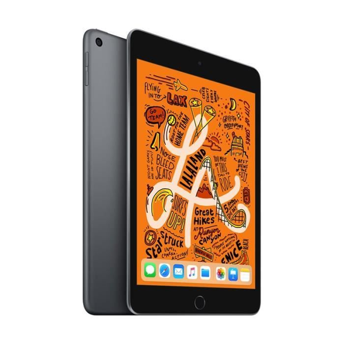 Apple ipad mini 5 (2019) 7,9'' 32Go WIFI Gris sidéral A12, écran