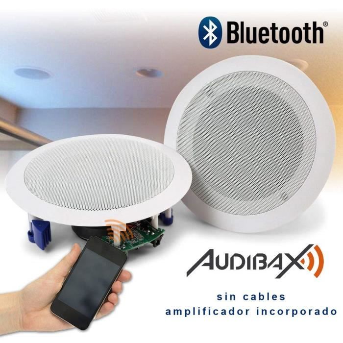 Enceintes Encastrables Plafond Achat Vente Pas Cher