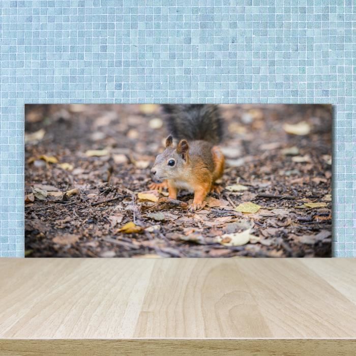 Crédence Cuisine En Verre Trempé Tulup - 100x70 Cm, épaisseur 4 Mm, Couleur Chocolat, Adhésif Inclus - 2