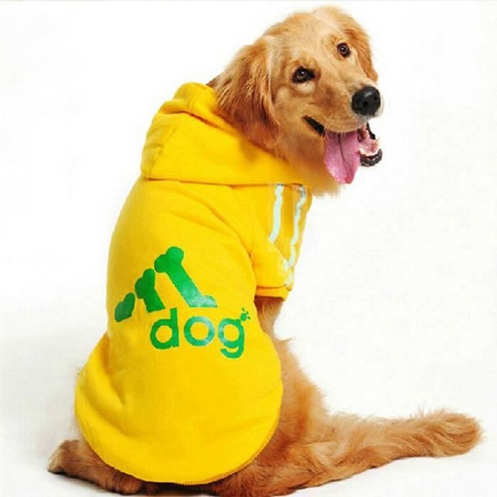 Manteau chien 3xs best sale