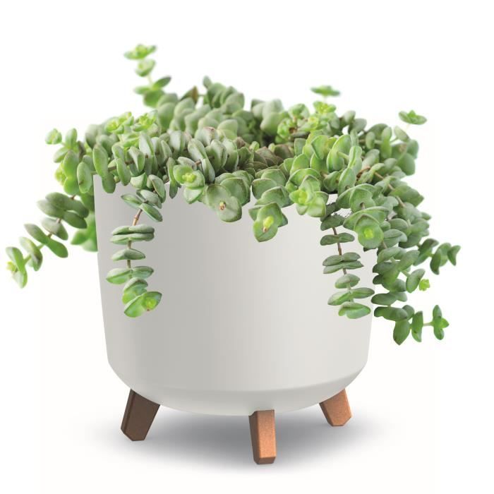 Pot de fleurs pieds jardiniere rond 30 cm blanc mat bac a fleurs plastique