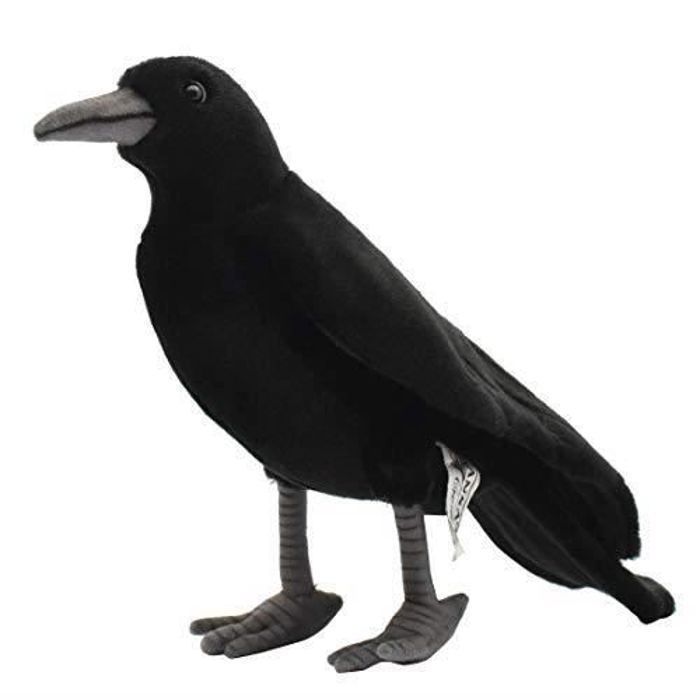 Peluche corbeau - Achat / Vente jeux et jouets pas chers