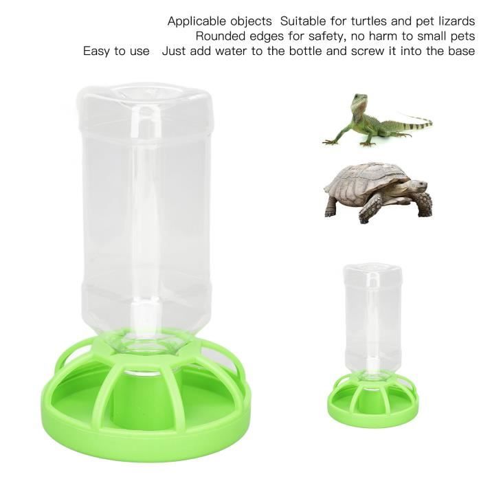 Meilleurs prix pour Bol deau de Nourriture pour Reptiles  Accessoire Tortue Terrestre Abreuvoir Tortue  pour Petits zhuoshop
