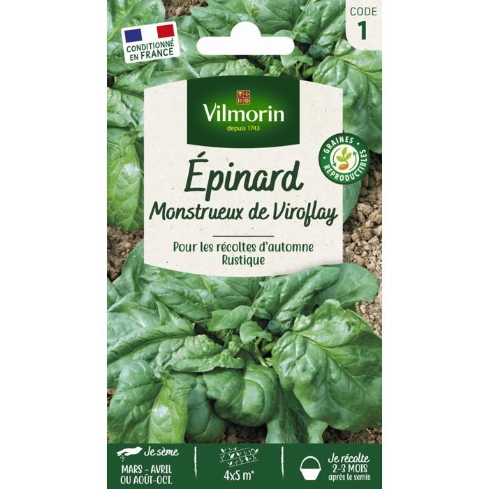 VILMORIN  - Sachet graines Epinard monstrueux de Viroflay