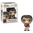 Figurine Funko Pop! Harry Potter: Harry Potter Anniversary - Harry w/The Stone-0