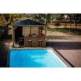 HABRITA Pool house Blueterm en bois massif - Dimensions 3,79 x 3,79 m-0